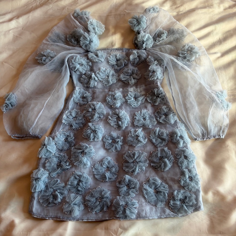 LOVESHACKFANCY- Wells Appliquéd Organza Mini Dress In Blue Size 0 Sheer Sleeve - Picture 5 of 9